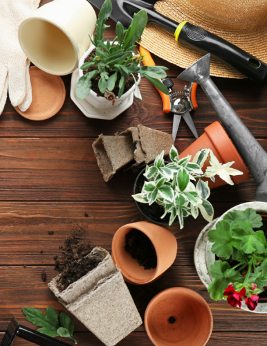 Home_Section1_Image2